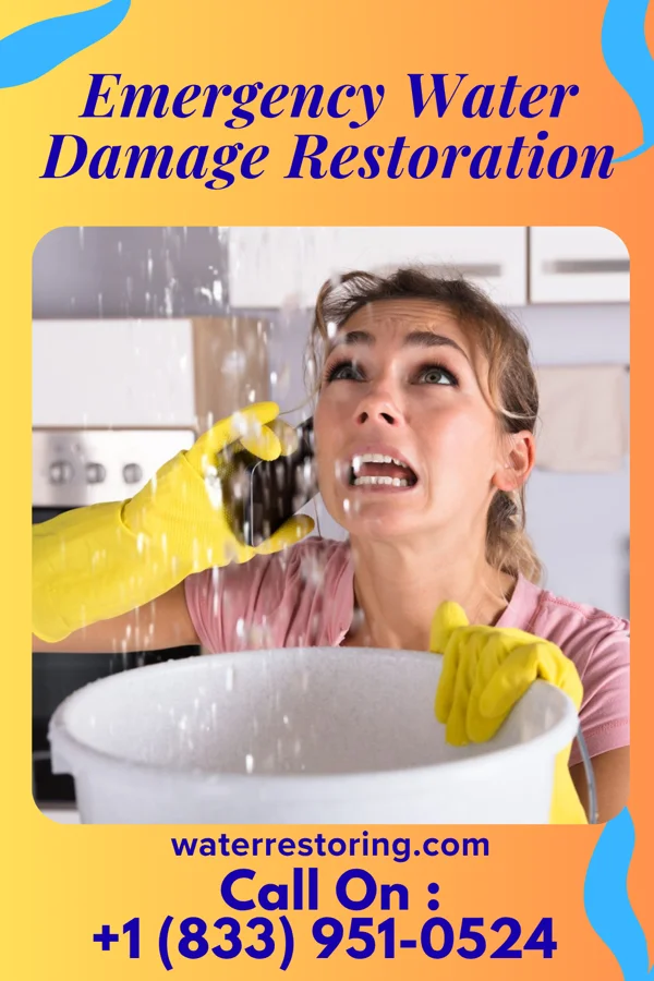 Emergency Water Damage Restoration in Arroyo Colorado Estates, TX