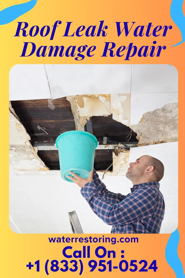 Roof Leak Water Damage Repair in Arroyo Colorado Estates, TX