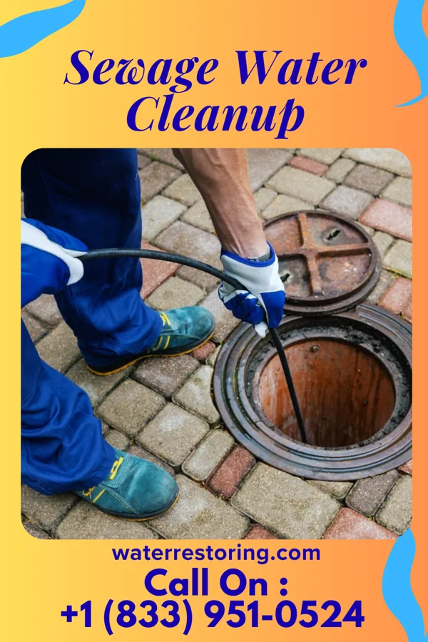 Sewage Water Cleanup in Arroyo Colorado Estates, TX